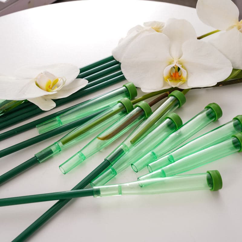 Orchid Floral Tube with Stick