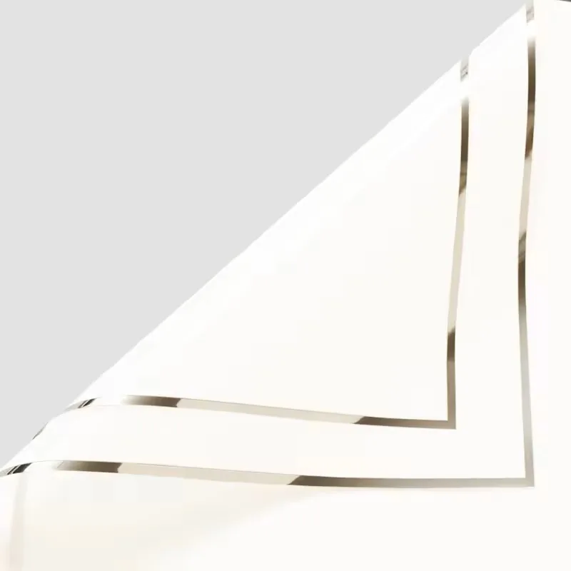 D27 Silver Border Sheet