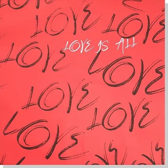 D80 Love Art Printed